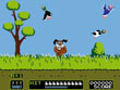 Duck Hunt